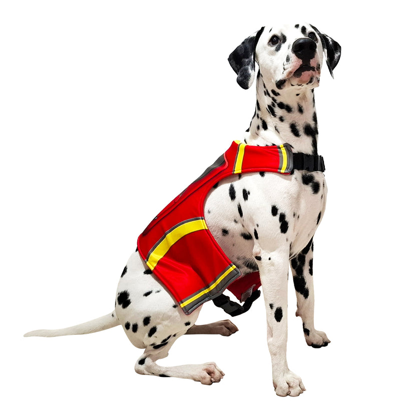 PAW PATROL MARSHALL