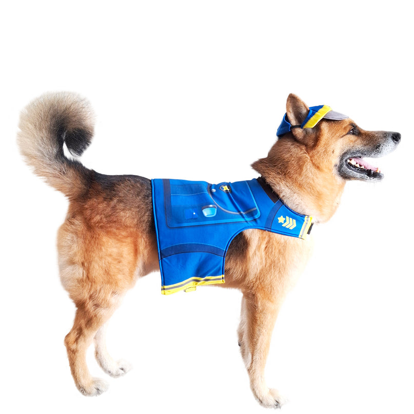 PAW PATROL CHASE