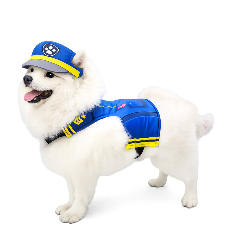 PAW PATROL CHASE